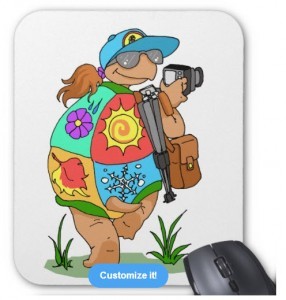 Cartoon of turtle carrying camera with the four seasons depicted on her shell.