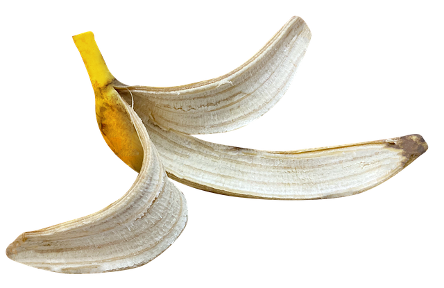 Photo of a banana peel minus the banana