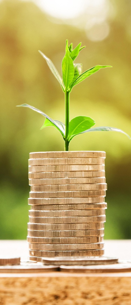 Photo realistic image of a stack of coins with a seedling growing out of the top