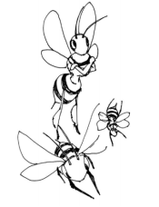 Bees that appear in the Sandy Stockings saga books